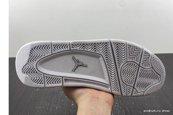 4 Retro  Jordan  819139-030  Snakeskin 819139-030 0304